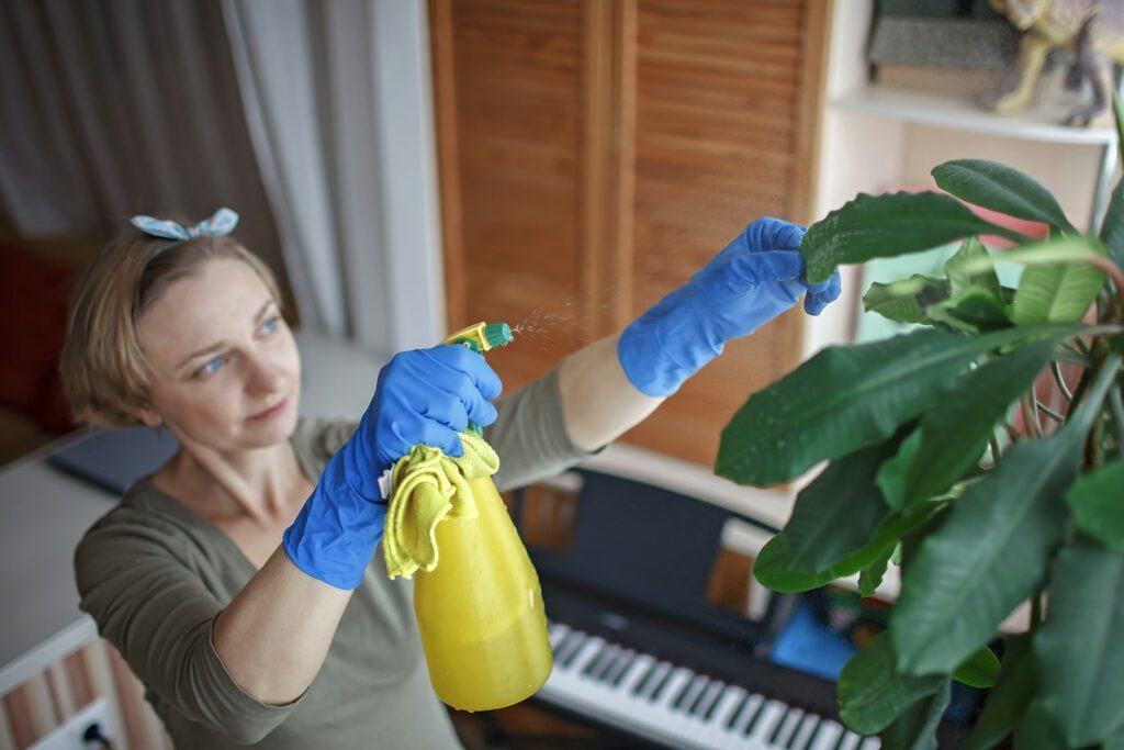 Woman cleans home plants on the windowsill, green environment at home, indoor lifestyle